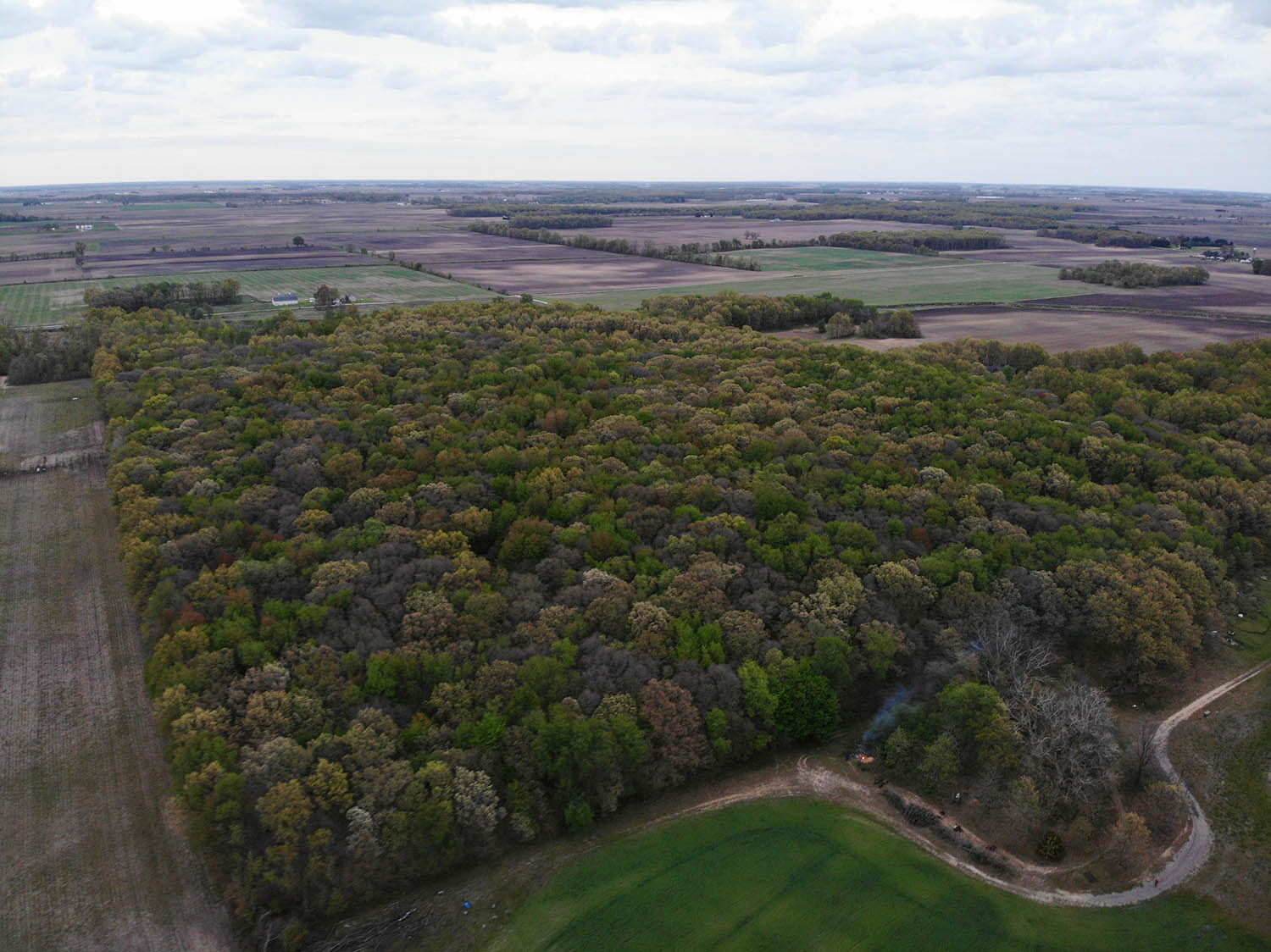 69.424 Acres of Timber and Hunting Property for Sale White County