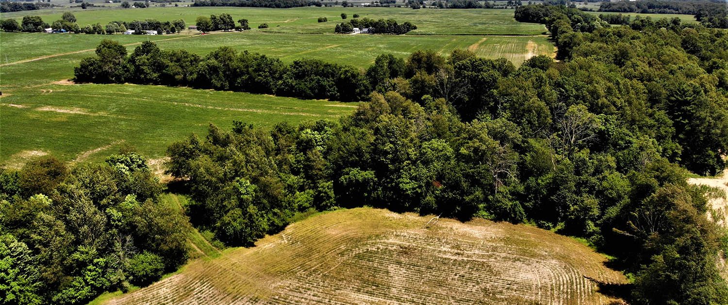 SOLD Marshall County 58.27 Acres C113 Farm Real Estate for Sale