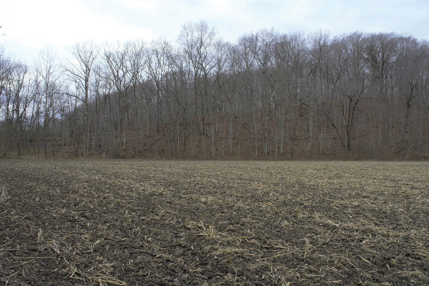 16 Acres Wooded & Tillable Land for Sale in Warren County Indiana