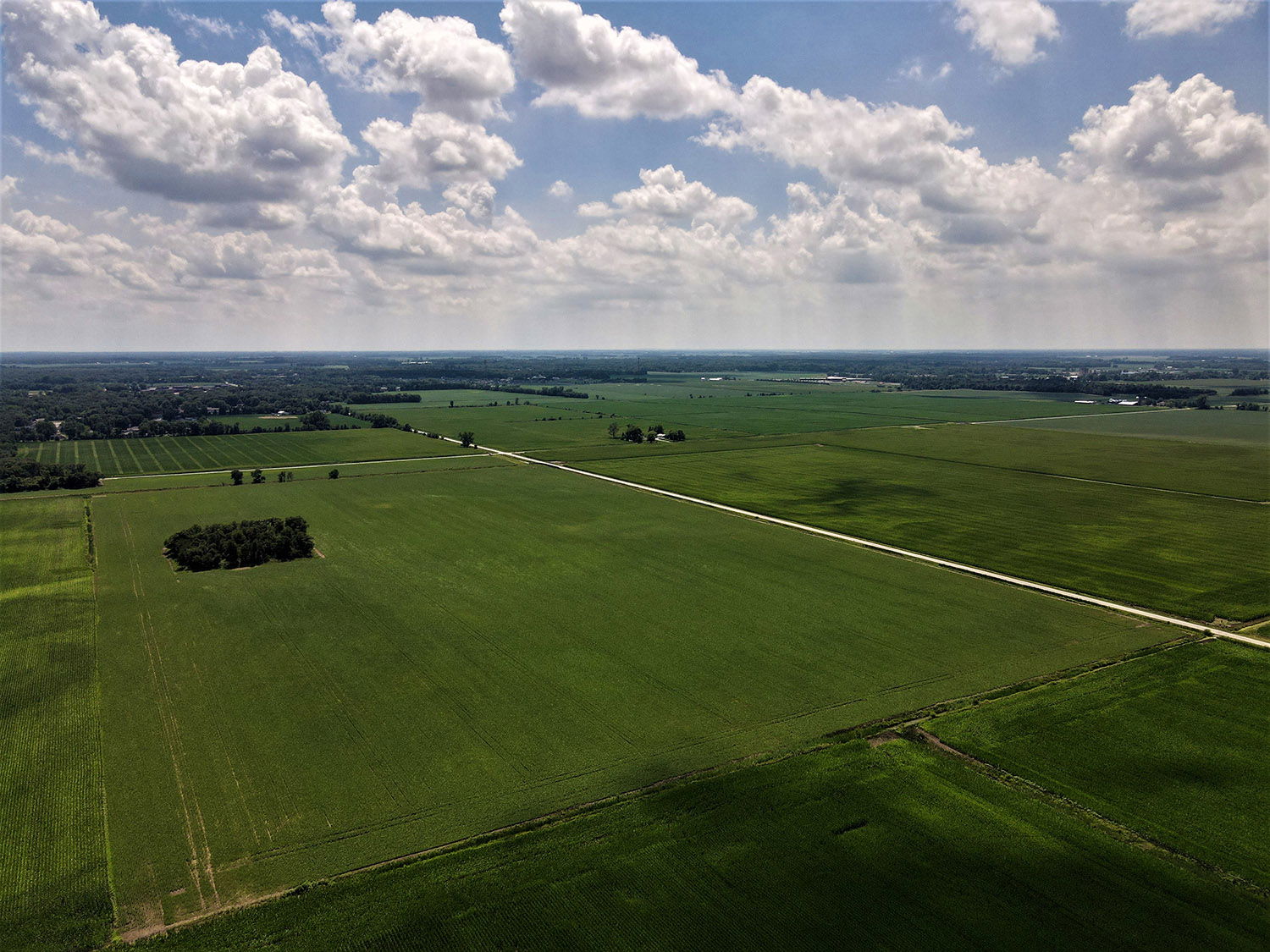 95.5 Ac. Auction of quality farmland in Jasper County, Indiana