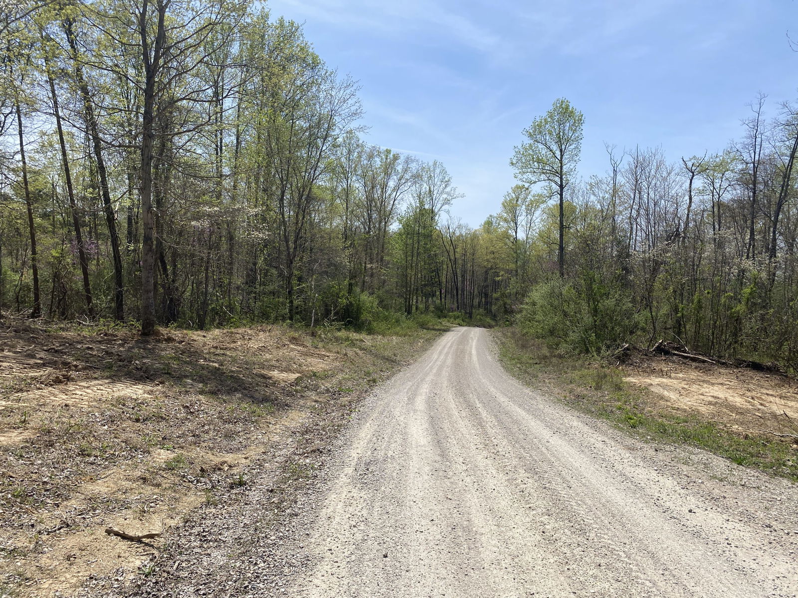 5-acres-brown-county-scenic-buildable-woodlot